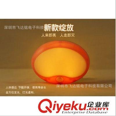 创意灯饰系列 小浣熊感应灯——节能与萌趣的完美融合